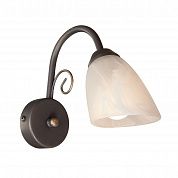 ��� Vitaluce V3197/1A
