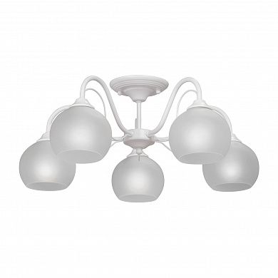 ������ Vitaluce V3948-0/5PL