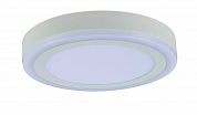 ���������� ���������� Arte Lamp ANTARES A7824PL-2WH