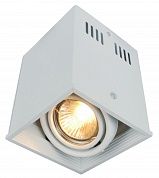   Arte Lamp CARDANI A5942PL-1WH