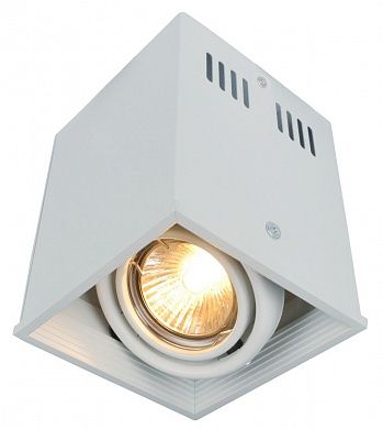 ���������� ���������� Arte Lamp CARDANI A5942PL-1WH