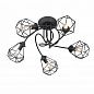 ������ Vitaluce V4930-1/5PL