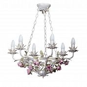 ������ Vitaluce V1137/6