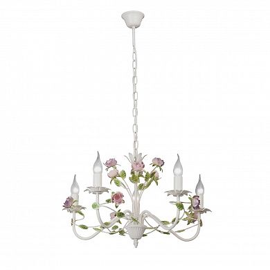 ������ Vitaluce V1184/5