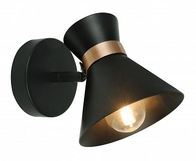 ���� Arte Lamp BALTIMORE A1406AP-1BK