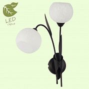   Lussole Bagheria GRLSF-6291-02