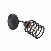��� Vitaluce V4916-1/1A