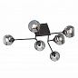 ������ Vitaluce V4795-1/6PL