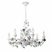 ������ Vitaluce V1830-0/6