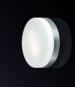 Настенно-потолочный светильник Odeon Light 2405/1C