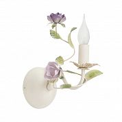 ��� Vitaluce V1184/1A