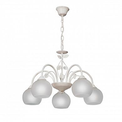 ������ Vitaluce V3884-0/5