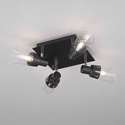 Потолочный светильник с плафонами Eurosvet Potter 20081/4 черный