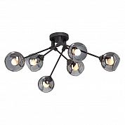 ������ Vitaluce V4322-1/6PL