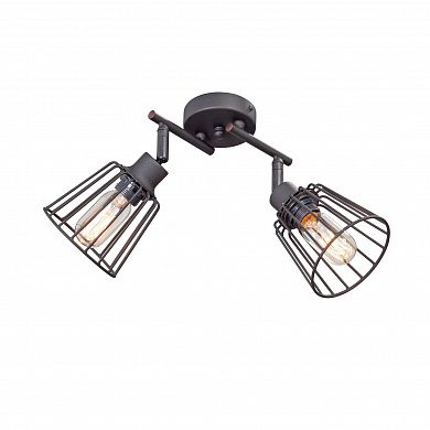 ���� Vitaluce V4589-1/2PL