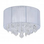   MW-Light  465015904