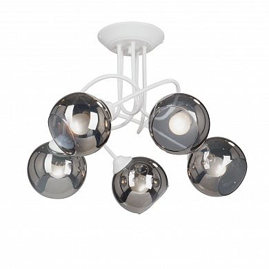 ������ Vitaluce V4309-0/5PL