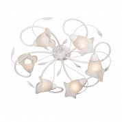 ������ Vitaluce V3815-0/6PL