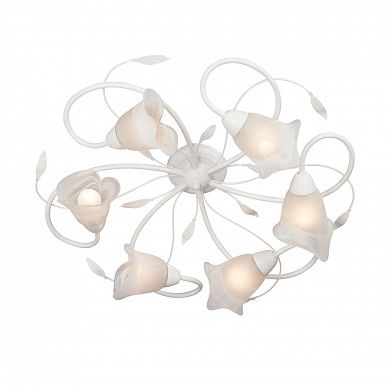 ������ Vitaluce V3815-0/6PL
