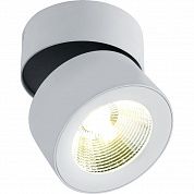   Divinare URCHIN 1295/03 PL-1