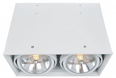 Потолочный светильник Arte Lamp CARDANI A5936PL-2WH