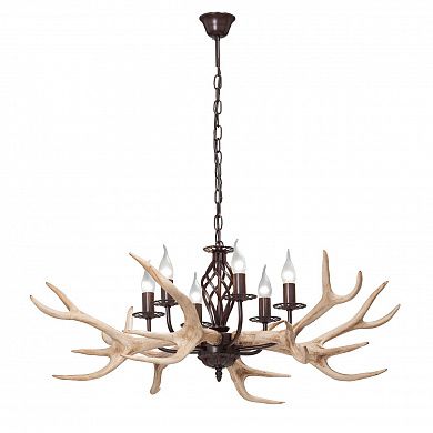 ������ Vitaluce V1491-7/6