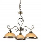  Arte Lamp SAFARI A6905LM-3AB