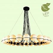 ������ ��������� ������������ Lussole LOFT Seneca GRLSP-8176