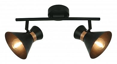 ���� Arte Lamp BALTIMORE A1406AP-2BK