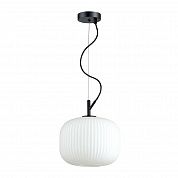   Odeon Light ROOFI 4753/1