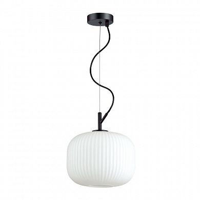 ��������� ���������� Odeon Light ROOFI 4753/1