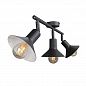 ���� Vitaluce V4807-1/3PL
