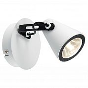 Настенно-потолочный светильник Lussole LSN-4101-01