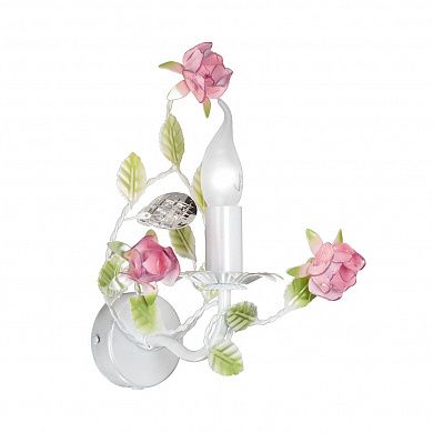 ��� Vitaluce V1276/1A