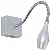    Arte Lamp PICTURE LIGHTS LED A7003AP-1SS