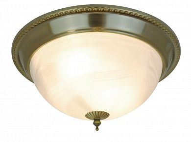 Настенно-потолочный светильник Arte Lamp PORCH A1305PL-2AB